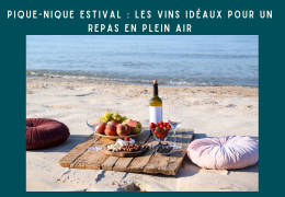 Pique-nique Estival : Les Vins Idéaux pour un Repas en Plein Air